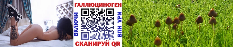 Галлюциногенные грибы Magic Shrooms  Волжский 
